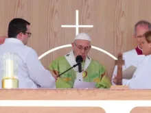 Papa Francisco durante a Missa em Dublin. Crédito; Caputura de tela Youtube