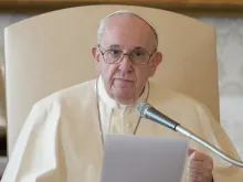 O Papa Francisco na audiência geral na biblioteca.