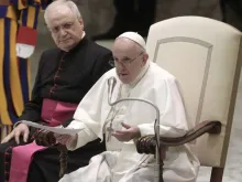 O Papa Francisco na audiência geral.