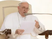 Papa Francisco na audiência geral de hoje (22