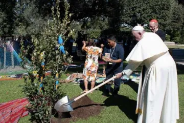 PapaFrancisco_PlantaArbol_FiestaSanFrancisco_041019_VaticanMedia.jpg