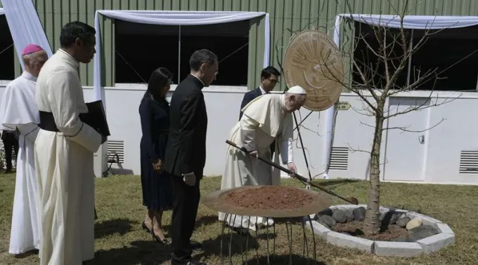 PapaFrancisco_SiembraBaobab_Madagascar_070919_VaticanMedia.jpg ?? 