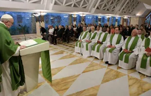 Papa durante a homilia na Missa.