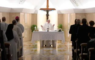 Papa durante a Missa.