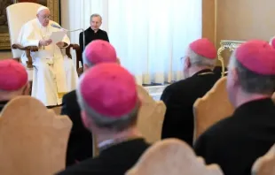 Papa Francisco em audiência com a plenária da COMECE