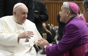 Papa Francisco saúda delegação ecumênica