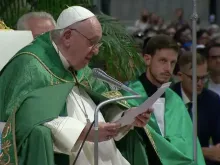 Papa Francisco na missa de hoje (30