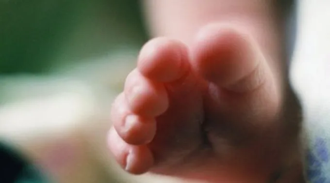 PieBebe_AutorSabianMaggy_CC_BY_2_0.jpg ?? 