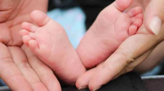 Pies-bebe-Bonnie-Kittle-Unsplash-160120.jpg ?? 