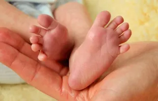 Foto referencial Pixabay domínio público