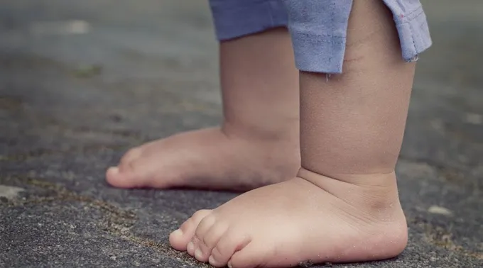 Piesnino-Pixabay-17092018.jpg ?? 