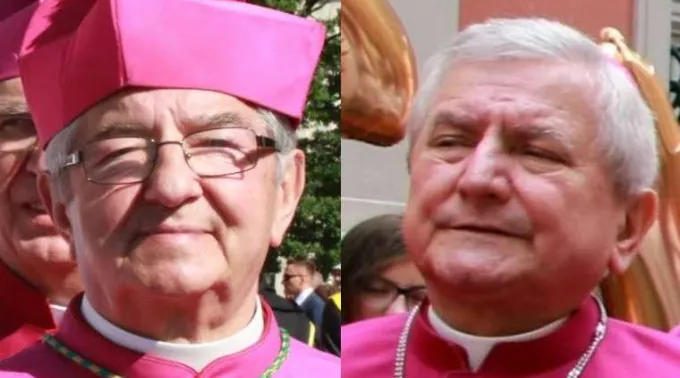 Polish_bishops_Vos_estis_investigations.jpg ?? 