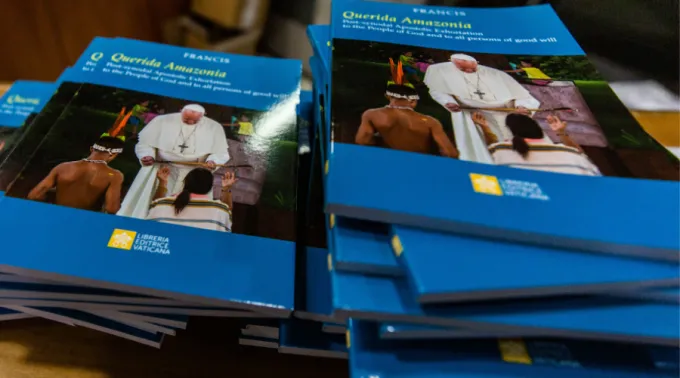 QueirdaAmazonia_FotoDanielIbanezACIPrensa.jpg ?? 