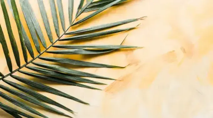 Ramo-Unsplash-11042022.webp ?? 