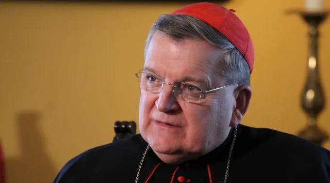 RaymondBurke_JoaquinPeiroPerez_ACIPrensa.jpg ?? 