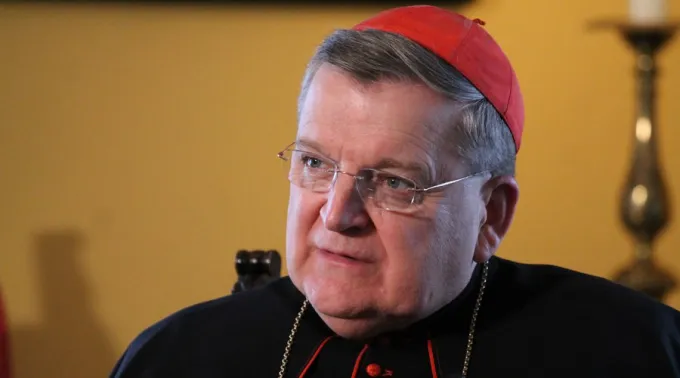 RaymondBurke_JoaquinPeiroPerez_ACIPrensa_111116.jpg ?? 