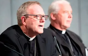 Dom Robert Barron, bispo de Winona-Rochester