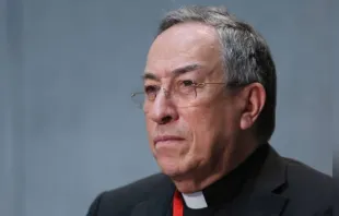 Cardeal Óscar Andrés Rodríguez Maradiaga.
