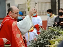Padre Gabriel Romanelli no Domingo de Ramos.
