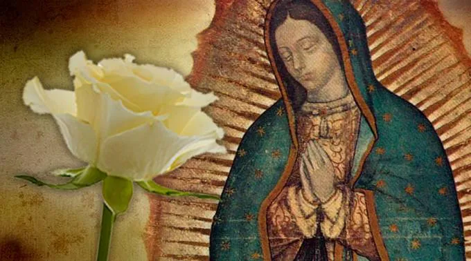 RosaGuadalupe_ComposicionACIPRensa_120216.jpg ?? 