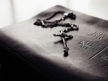 Imagem referencial. Crédito: Unsplash