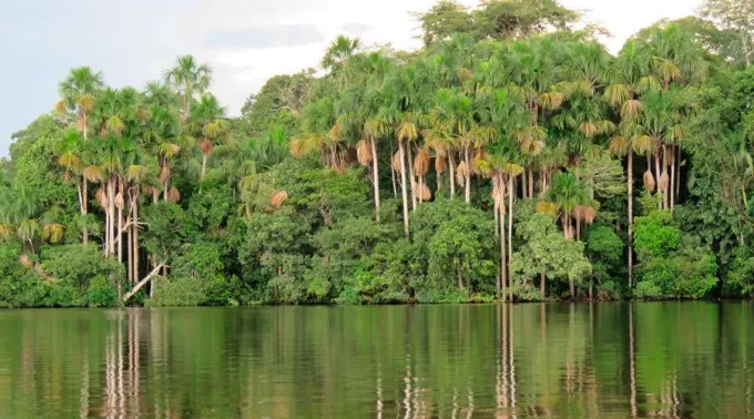 Selva-Pixabay-24052020.jpg ?? 