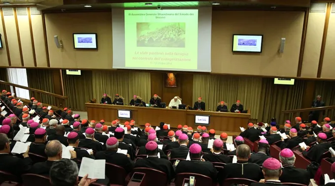 SinodoDeLaFamilia2015_DanielIbanezACIPrensa_231116.jpg ?? 