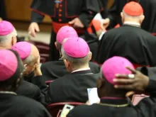 Os bispos na sala do Sínodo hoje. Foto Daniel Ibáñez