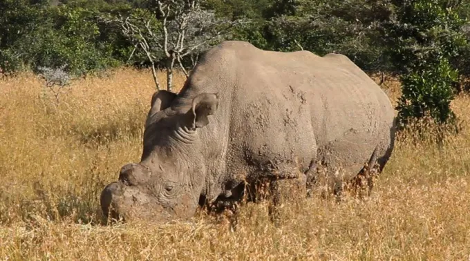 Sudan_Lengai101_CC_BY_30_20032018.jpg ?? 