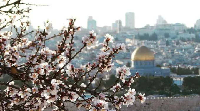 TierraSanta-BlancaRuiz-11092020.webp ?? 