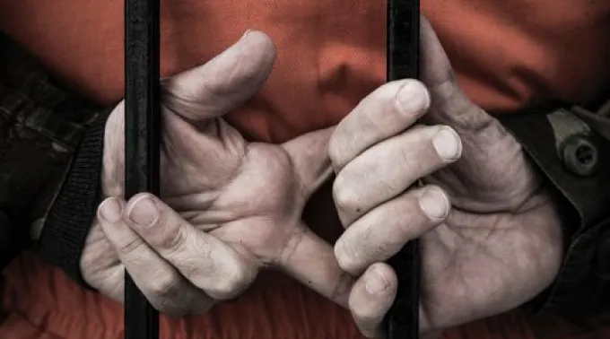 Tortura_Shrieking_Tree_CC_BY-NC-ND_2_0.jpg ?? 