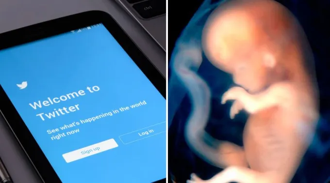 Twitter-Pixabay-Embrion-StevenOConnorMDHouston-Texas.jpg ?? 