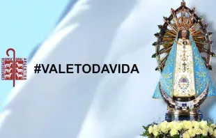 Vale Toda Vida