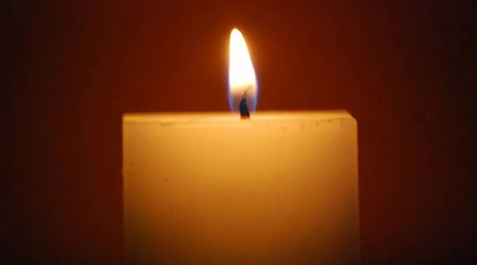 Vela_FlickrWebhamsterCC-BY-2.0_301115.jpg ?? 