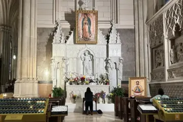 Virgen-Guadalupe-Catedral-Nueva-York-Horacio-Ramos-2-150523.jpg