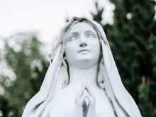 Imagem de referência