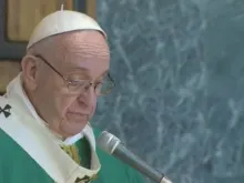 Papa durante a homilia.