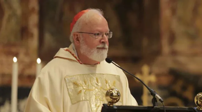 WhatsApp_Image_2023-02-17_at_16.01.07.jpeg ?? 