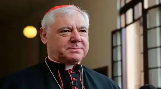 WhatsApp_Image_2023-03-16_at_11.59.56_1.jpeg ?? 