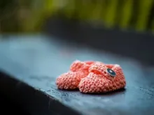 Imagem referencial: Crédito: Janko Ferlič