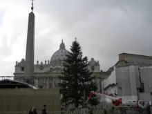 A árvore de Natal na Praça de São Pedro