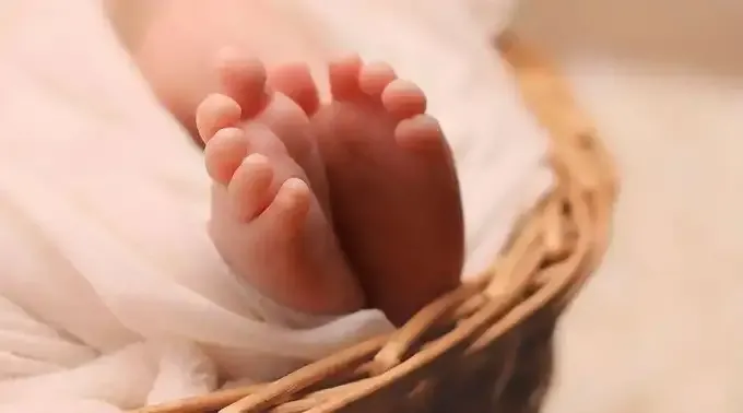 bebe_pixabay_dominiopublico_010218.webp ?? 