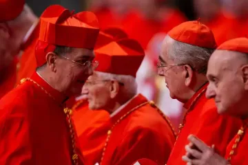 cardenales_ref_daniel_roma.jpg