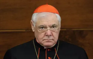 Cardeal Gerhard Müller, ex-prefeito da Congregação para a Doutrina da Fé 