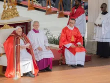 Papa Francisco na missa de Domingo de Ramos