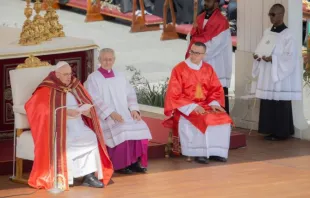 Papa Francisco na missa de Domingo de Ramos