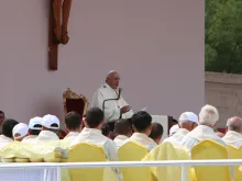 O Papa em sua homilia na Missa celebrada na Praça Madre Teresa (Daniel Ibáñez
