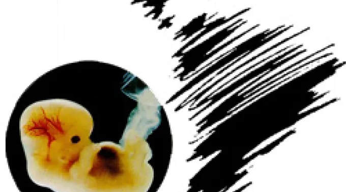 ppabortoalatina140411.jpg ?? 