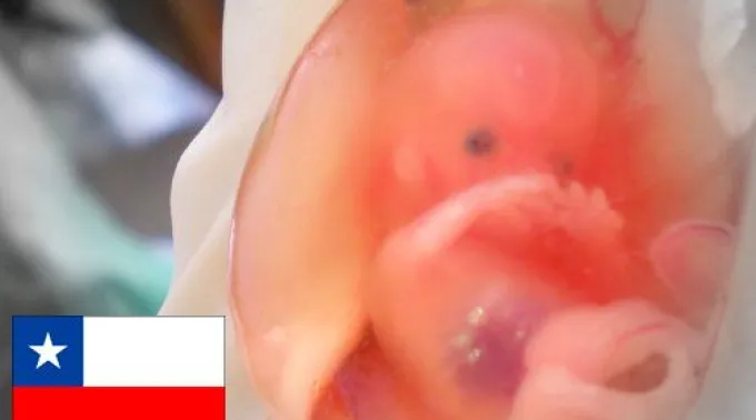 ppabortochile190813.jpg ?? 