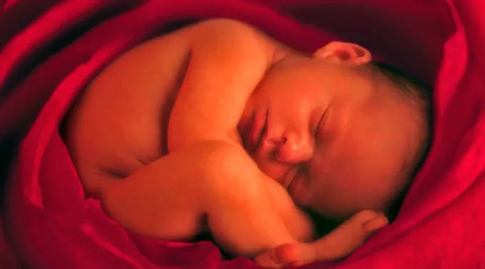 ppabortochina090913.jpg ?? 